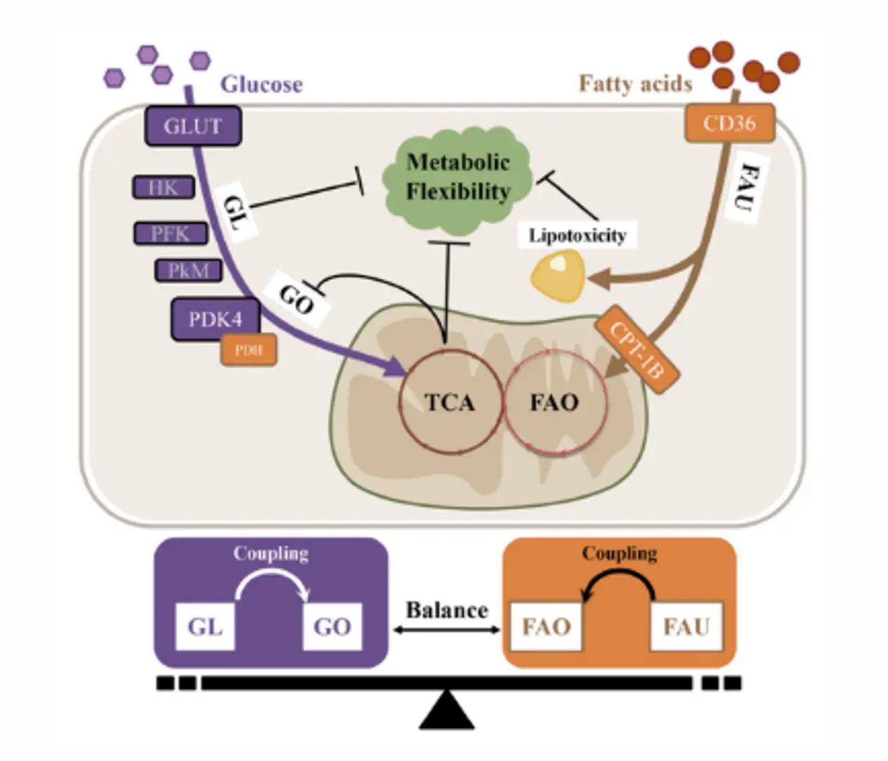 6932cec6d5ff0598f23e7b22